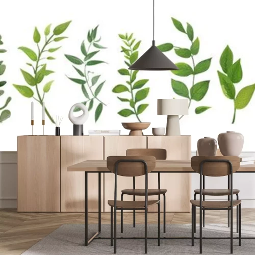 Sticker  Éléments de design vectoriel ensemble collection de fougère de la forêt verte, vert feuillage d'art verdure eucalyptus vert naturel laisse des herbes dans un style aquarelle. Illustration élégante de 