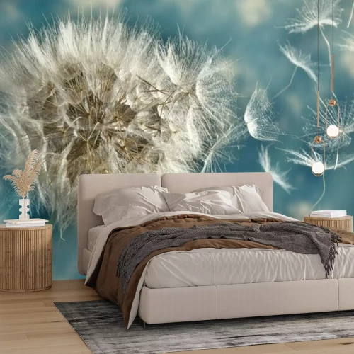 Papier peint  Pissenlit sur fond bleu