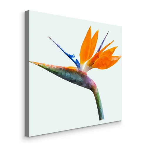 Tableau  Fleur d'oiseau de paradis