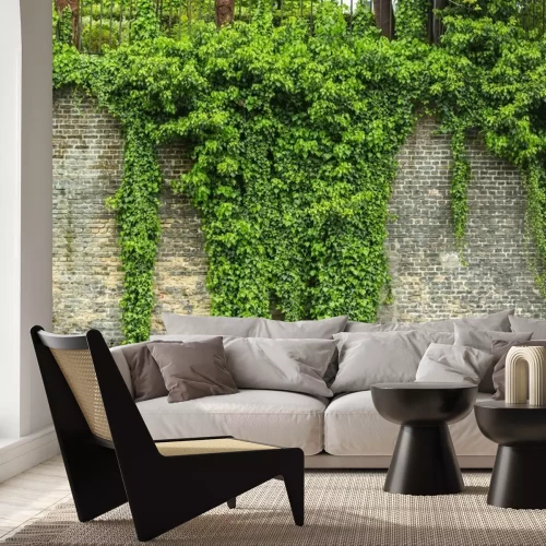 Papier peint  Plantes grimpantes sur le mur