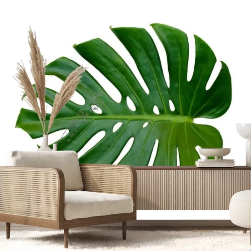 Sticker  Monstera feuilles feuilles avec isoler sur fond blanc feuilles sur blanc