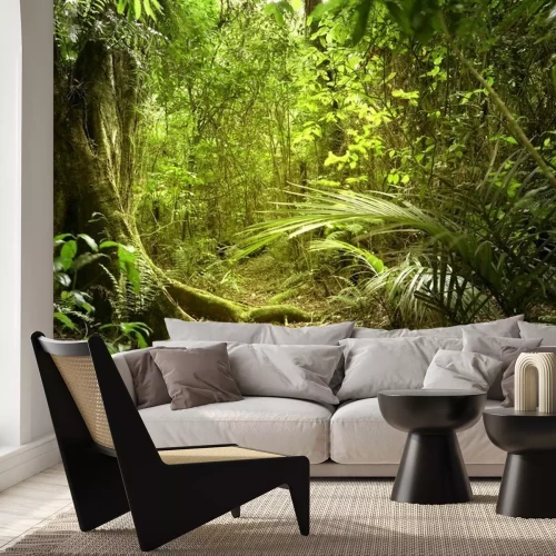 Papier peint  Une jungle pleine de plantes