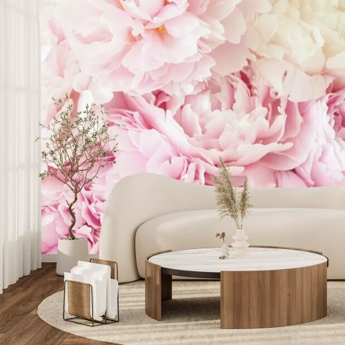 Papier peint  Gros plan sur des pétales de pivoine rose