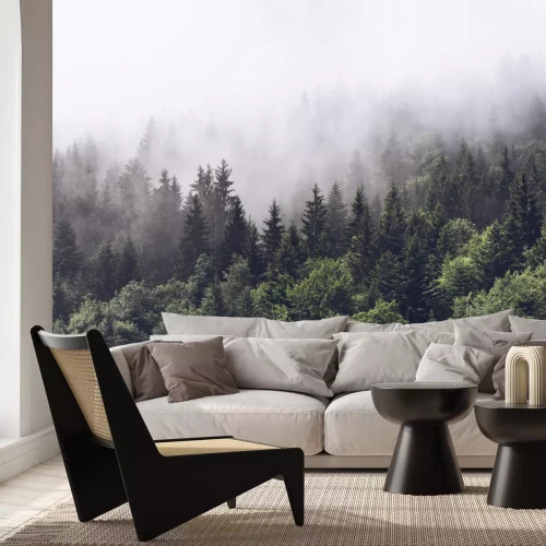 Papier peint  Forêt de sapins dans la brume