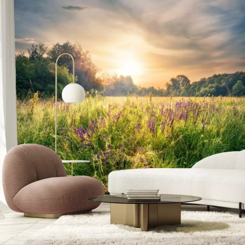 Papier peint  Lever de soleil sur une prairie fleurie