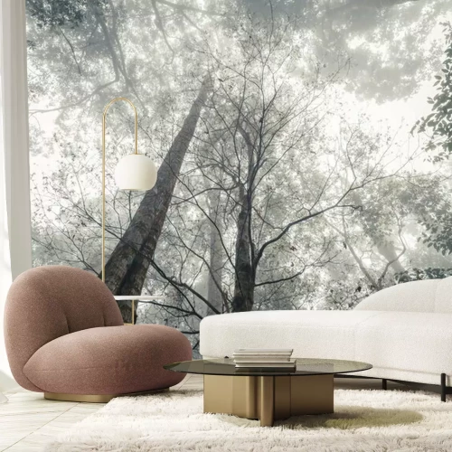 Papier peint  Forêt en noir et blanc dans la brume