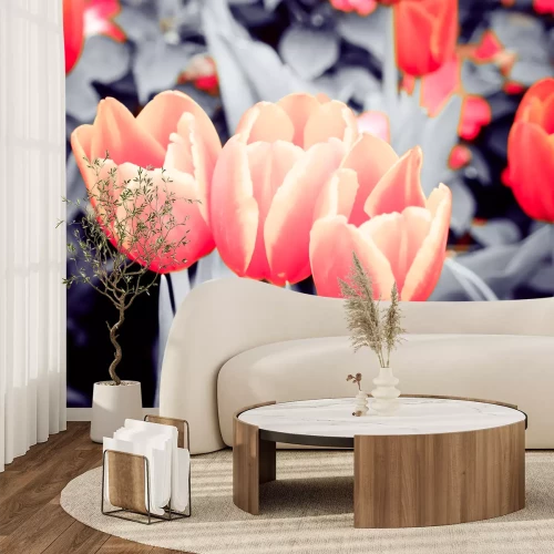 Papier peint  Tulipes avec un effet sépia