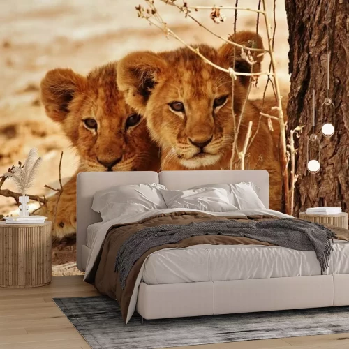 Papier peint  Charmants lionceaux dans la savane