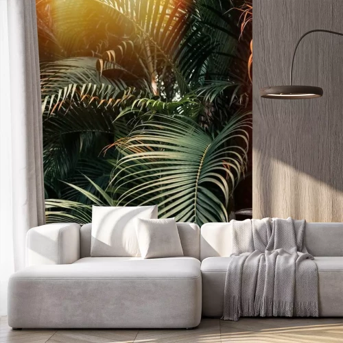 Papier peint  Les palmiers au soleil