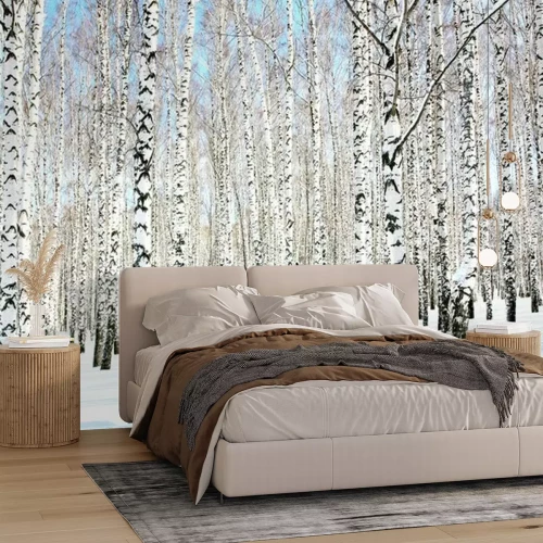 Papier peint  La neige sur les bouleaux