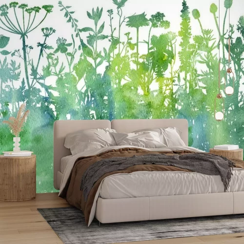 Papier peint  Aquarelle de plantes des champs