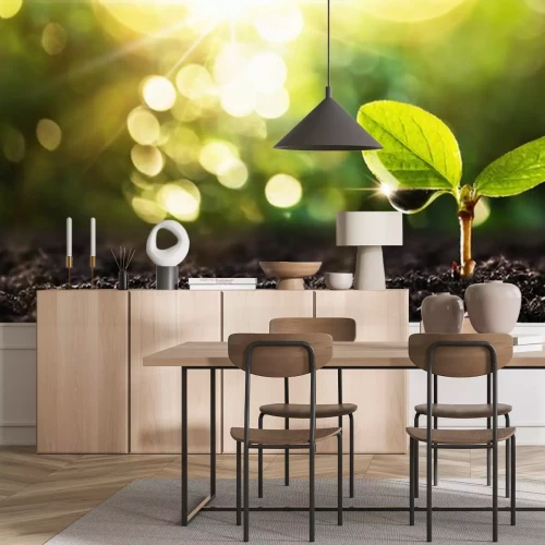 Sticker  Jeune plante au soleil