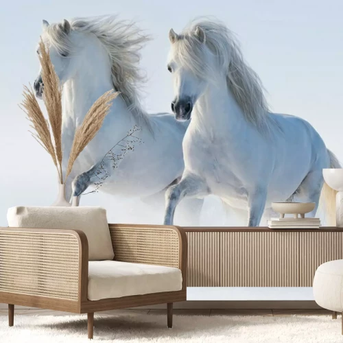 Papier peint  Deux chevaux au galop