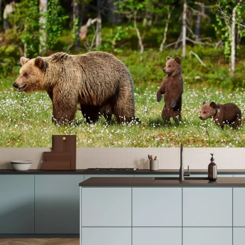 Papier peint  Des ours dans une clairière