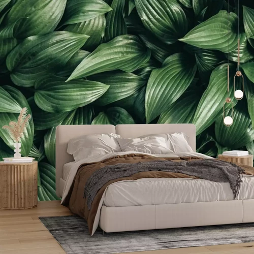 Papier peint  Feuilles des tropiques