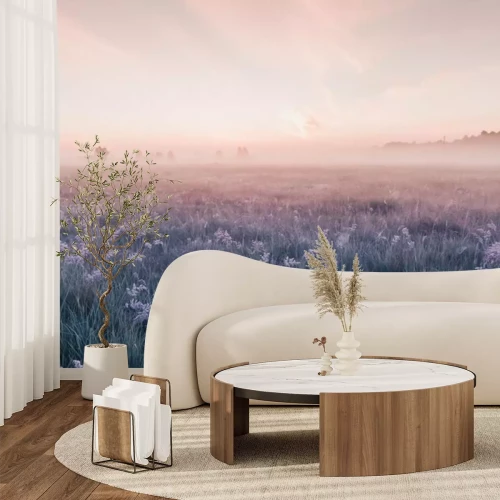 Papier peint  Champ de sunrise de floraison fleurs de prairie rose