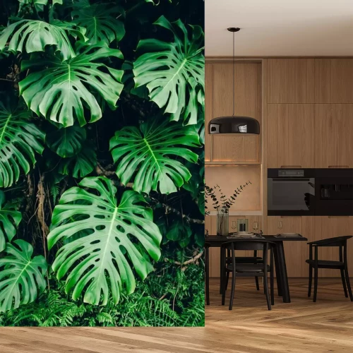 Papier peint  Plantes dans un cadre naturel