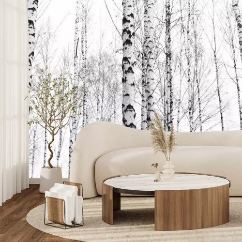 Papier peint  Arbres de bouleaux en noir et blanc dans la forêt