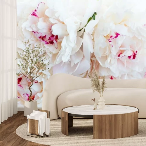 Papier peint  Fleurs de pivoine fraîche