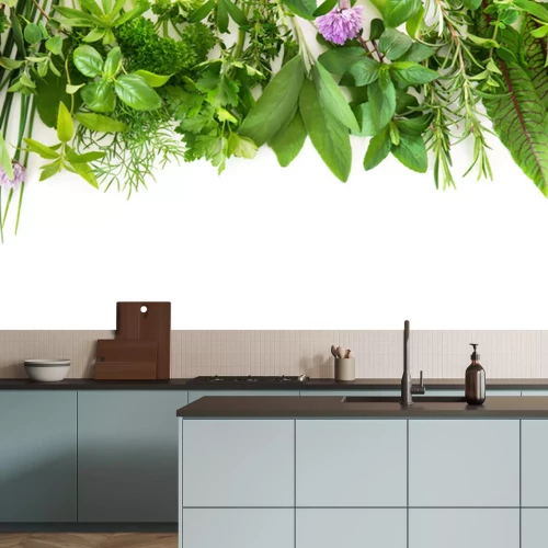 Papier peint  Herbes vertes fraîches sur fond blanc