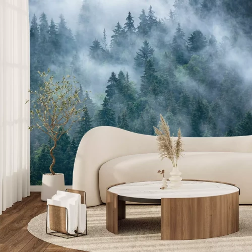 Papier peint  Couronnes de sapins dans la brume