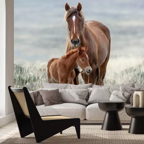 Papier peint  Cheval et poulain dans le pré