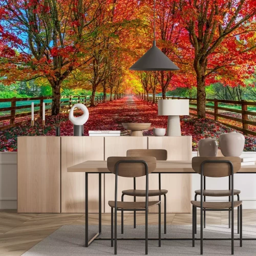Papier peint  Allée d'arbres d'automne