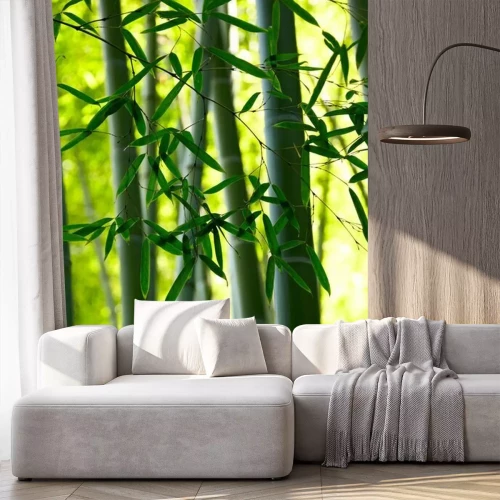Papier peint  Bambou dans un bosquet exotique