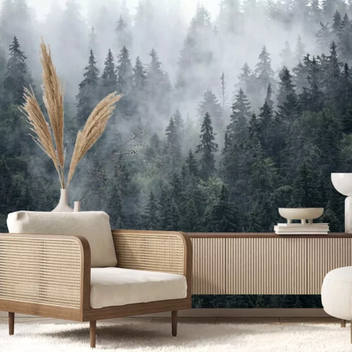 Papier peint  Forêt gris acier dans la brume