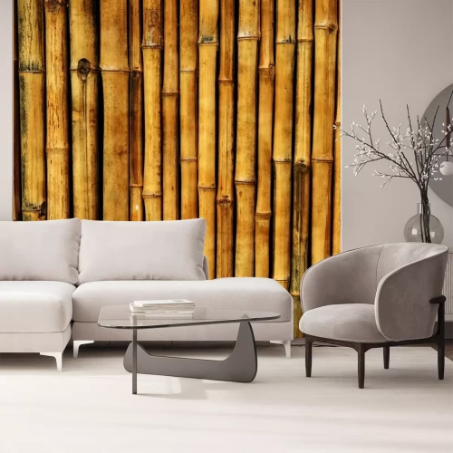 Papier peint  Tiges de bambou brun
