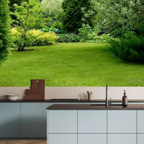 Papier peint  L'herbe dans le jardin