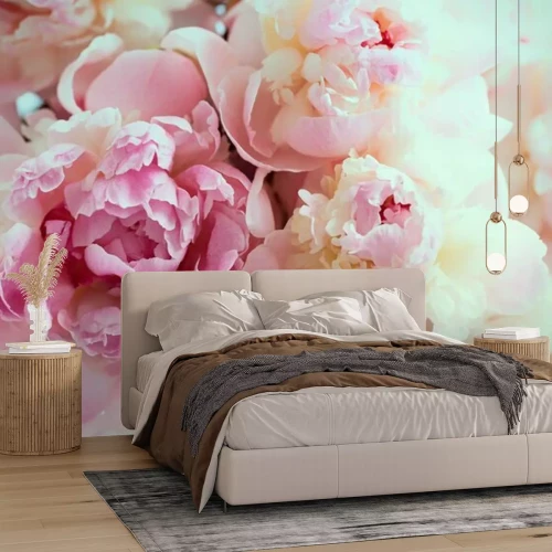 Papier peint  Pivoines roses en gros plan