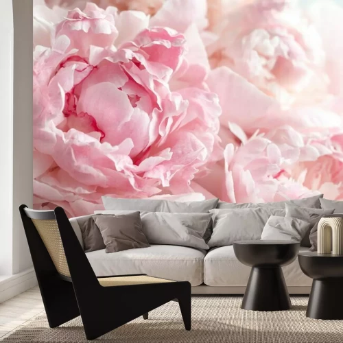 Papier peint  Fleurs de pivoines roses en gros plan