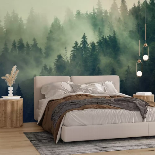 Papier peint  Brouillard au-dessus de la forêt de sapins verts