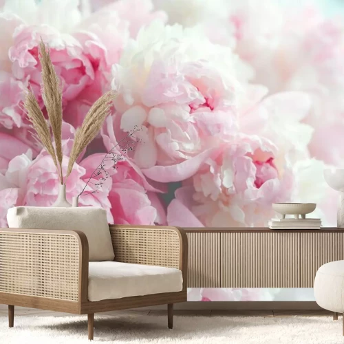 Papier peint  Fond de fleurs de pivoines roses moelleuses