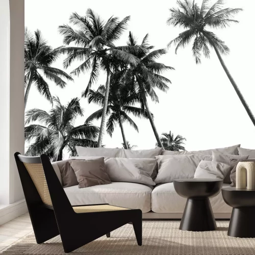Papier peint  Palmiers en noir et blanc