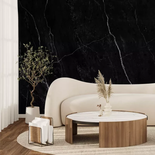 Papier peint  Marbre noir avec veines blanches