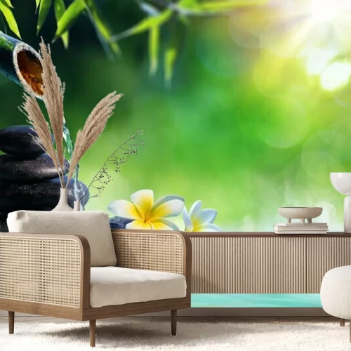 Papier peint  Pierres, eau et fleurs