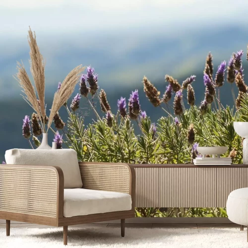 Papier peint  Gros plan sur un buisson de bruyère