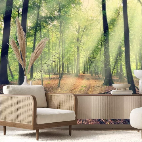 Papier peint  Lumière du soleil tombant dans la forêt