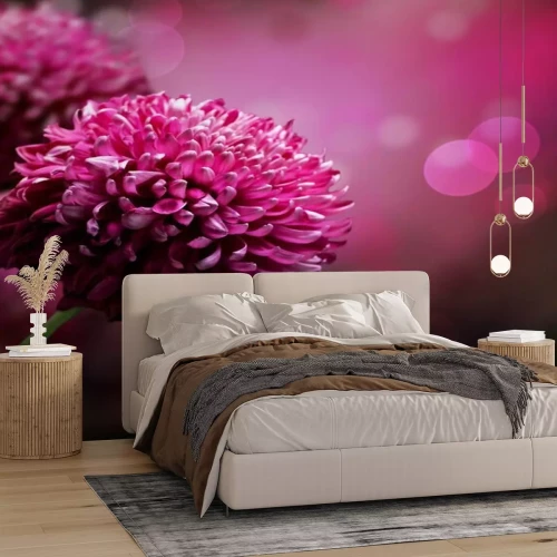 Papier peint  Dahlias à l'échelle macro