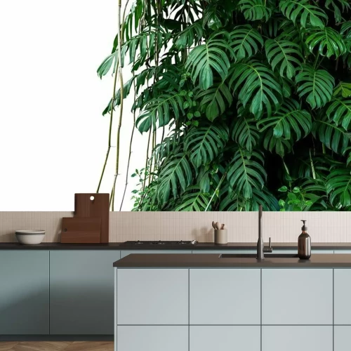 Papier peint  Monstera sur un fond blanc