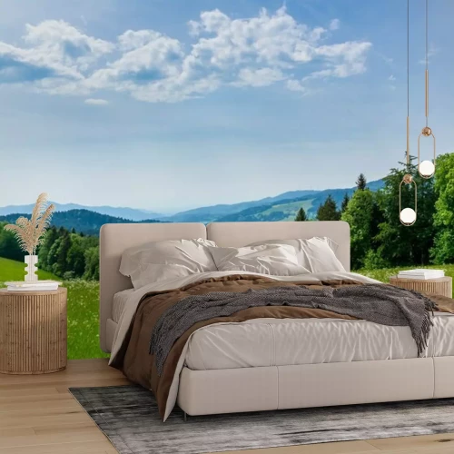 Papier peint  Prairie et vue d'en haut