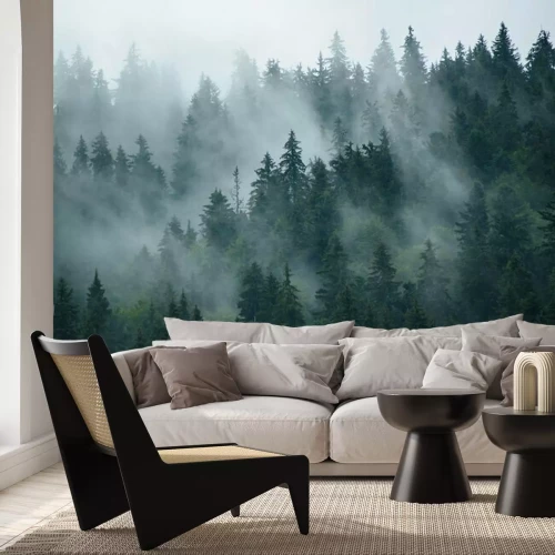 Papier peint  Une douce brume entre les arbres