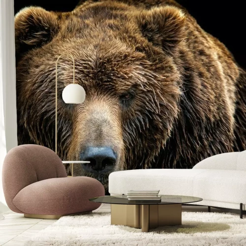 Papier peint  Ours brun trempé