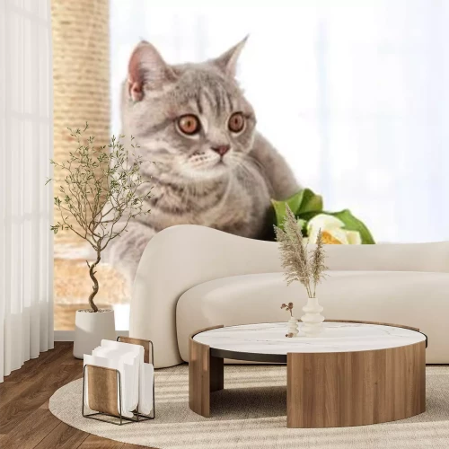 Papier peint  Chat allongé sur un griffoir