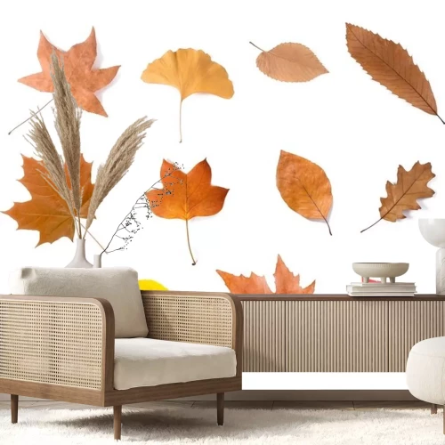 Sticker  groupe de feuilles séchées