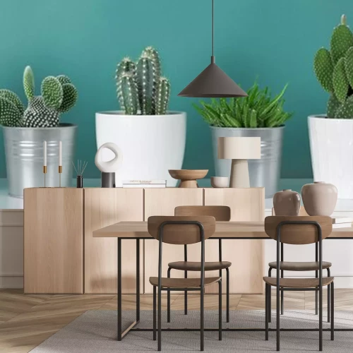 Sticker  Décoration de la chambre moderne. Collection de diverses plantes de maison de cactus en pot sur une étagère blanche contre un mur de couleur turquoise pastel. Bannière de plantes de cactus.