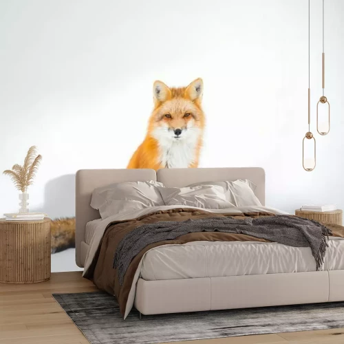 Sticker  Renard roux, Canada