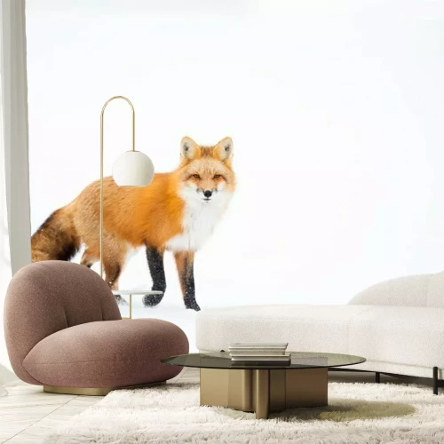 Sticker  Renard roux, Canada